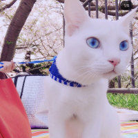 会員画像