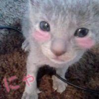 ななvv 会員画像