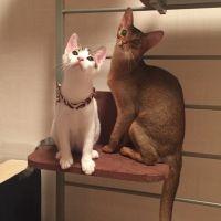 Q'n 会員画像