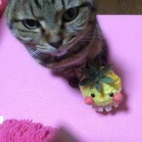 会員画像
