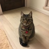 チョコミルクさん