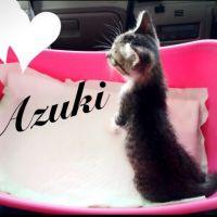 れだ 会員画像