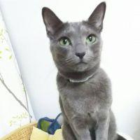 AKIz 会員画像
