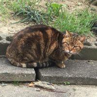 欽太郎さん
