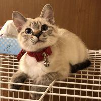 ミカナッツ 会員画像