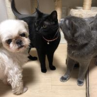 会員画像