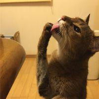 Raエ 会員画像