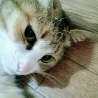 neco0618 会員画像