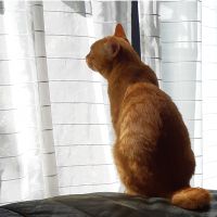 ササママ 会員画像