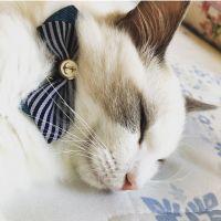 会員画像