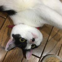 会員画像