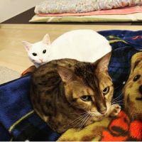 会員画像