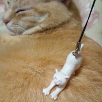 ミニミー 会員画像