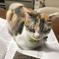 ともちん40 会員画像