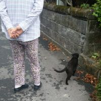 八代ニャンズ助け隊さん