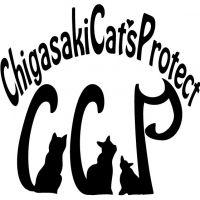 Chigasaki　Cat's　Protectさん