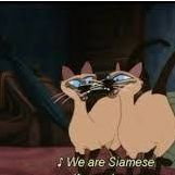 さばみ 会員画像