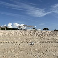 hanyano 会員画像