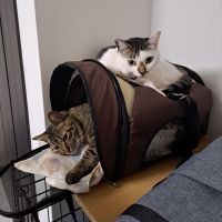 かに缶 会員画像