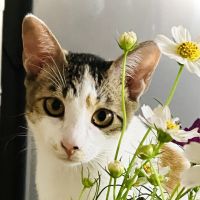 れんなな 会員画像