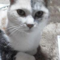 ねこ麻呂 会員画像