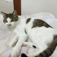 猫三郎 会員画像