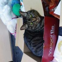 kiki123 会員画像