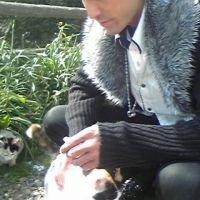 むらさき猫侍 会員画像