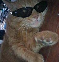 モモチビSAN 会員画像