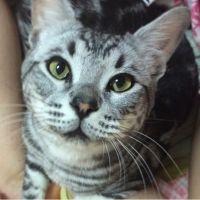 ルナティア 会員画像