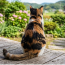 Rumraisin・cat