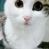 morachan 会員画像