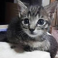 みよし 会員画像