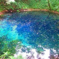 あき39 会員画像