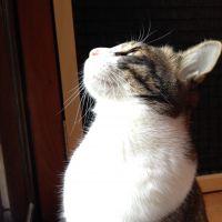 会員画像