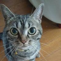 ぐぅママ 会員画像