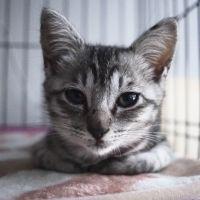 M'sさん