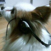 まちさく 会員画像