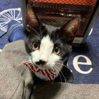 yuyuyu0220 会員画像