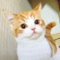 会員画像