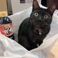 キリュウ 会員画像