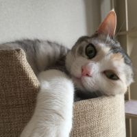 会員画像