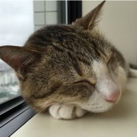 会員画像