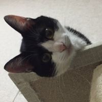 まつみかん