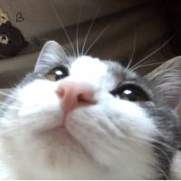 カイメグミ 会員画像