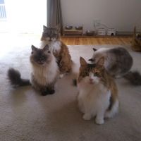 きらそら 会員画像