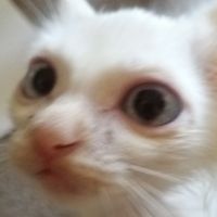 会員画像