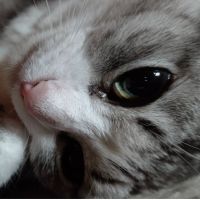 れれた 会員画像