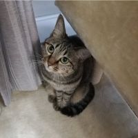 ぬくり 会員画像