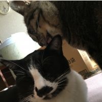 メン君ママ 会員画像